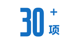 30+技术专利